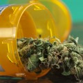 What Medical Conditions Can Cannabis Treat?