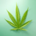 Medical Cannabis in the UK: A Comprehensive Guide